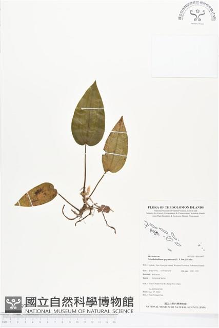 登錄號:BS01897藏品圖，第1張