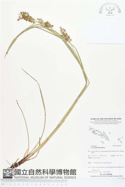 登錄號:BS03897藏品圖，第1張