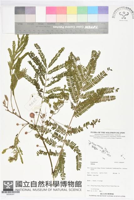 登錄號:BS06097藏品圖，第1張