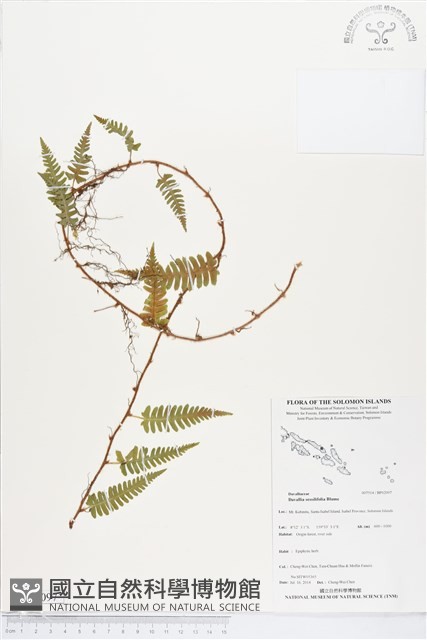 登錄號:BP02097藏品圖，第1張