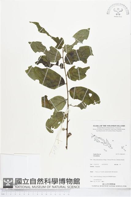 登錄號:BS05097藏品圖，第1張