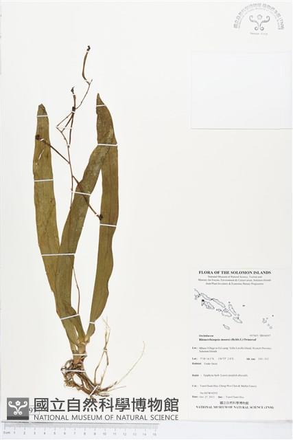 登錄號:BS04097藏品圖，第1張