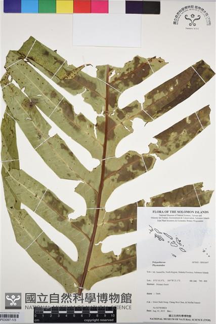 Accession Number:BP03097 Collection Image, Figure 1, Total 3 Figures