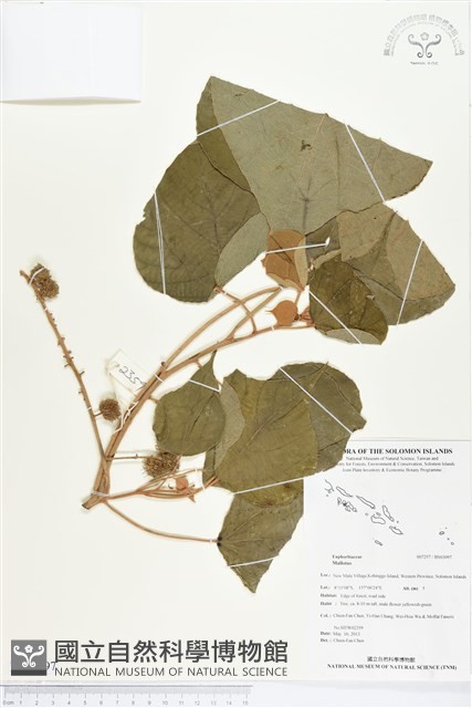 登錄號:BS03097藏品圖，第1張