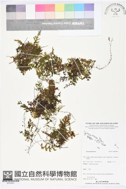 登錄號:BP02697藏品圖，第1張