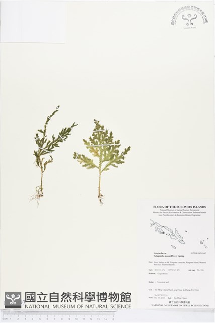 登錄號:BP01697藏品圖，第1張