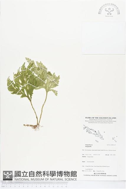 登錄號:BP02197藏品圖，第1張