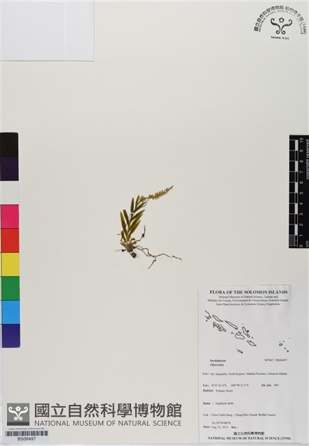 登錄號:BS06497藏品圖，第1張