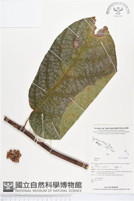 登錄號:BS02497藏品圖，第1張