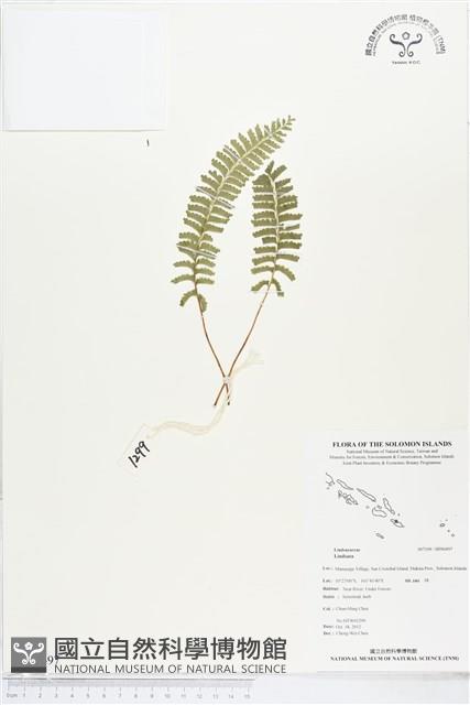 登錄號:BP00497藏品圖，第1張