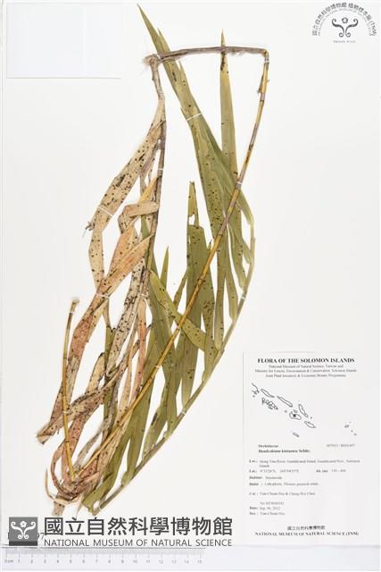 登錄號:BS01497藏品圖，第1張