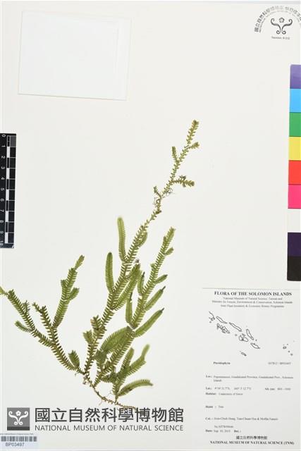 登錄號:BP03497藏品圖，第1張