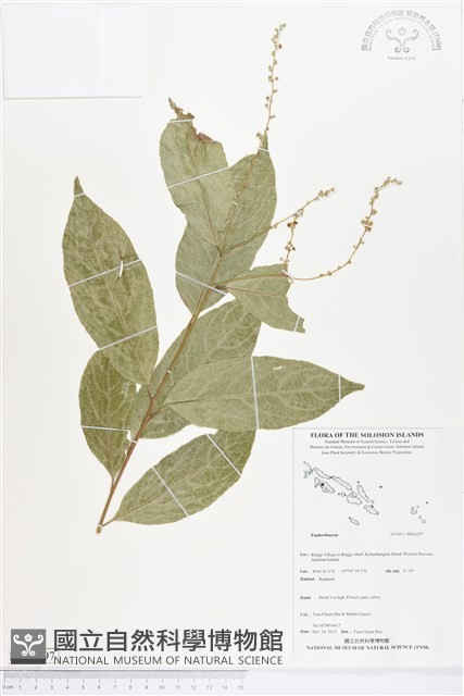 登錄號:BS04297藏品圖，第1張