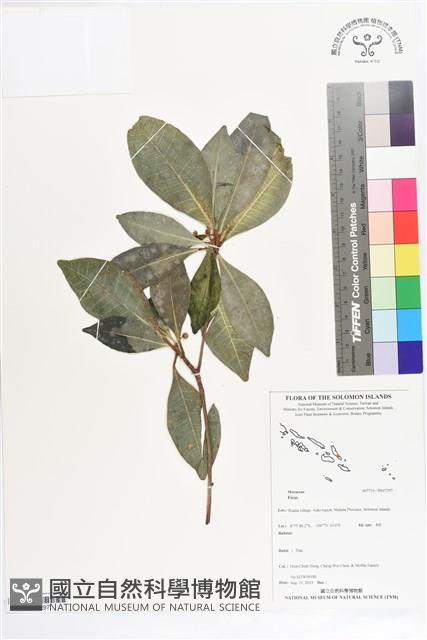 登錄號:BS07297藏品圖，第1張