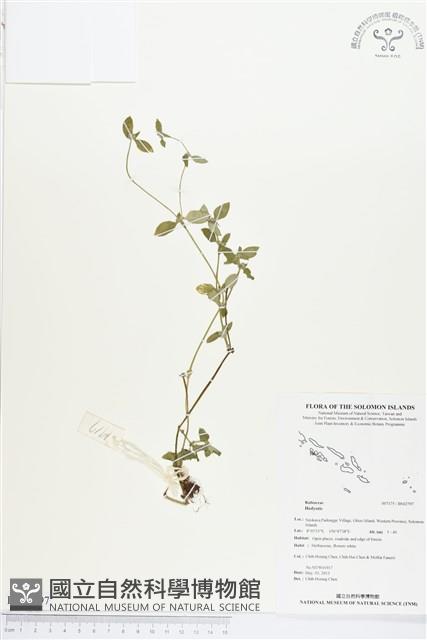 登錄號:BS02797藏品圖，第1張