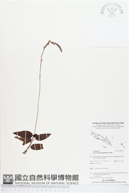 登錄號:BS03797藏品圖，第1張