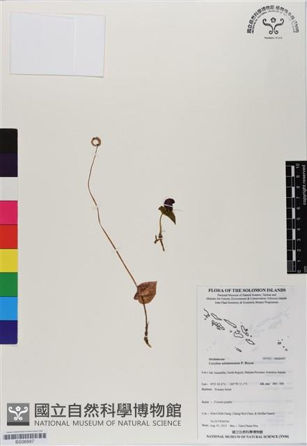 登錄號:BS06997藏品圖，第1張