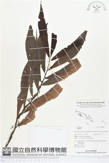 登錄號:BS02997藏品圖，第1張