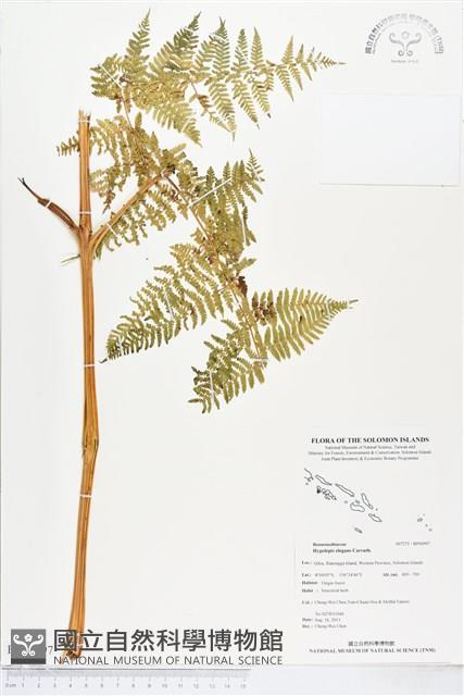 登錄號:BP00997藏品圖，第1張