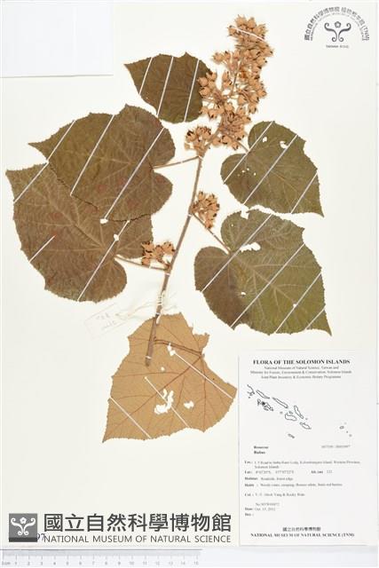 登錄號:BS01997藏品圖，第1張