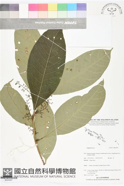 登錄號:BS05997藏品圖，第1張