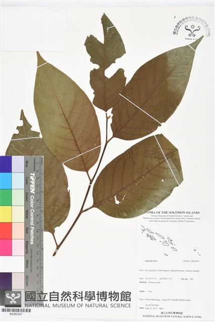 登錄號:BS06397藏品圖，第1張