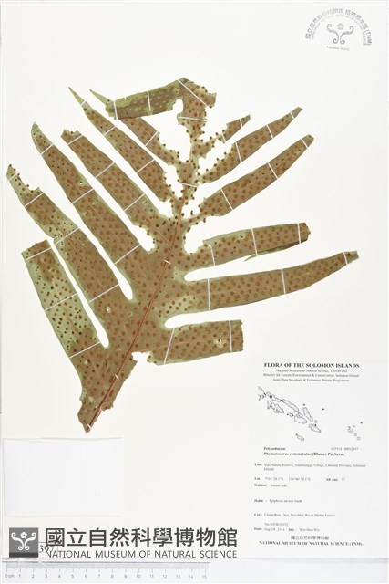 登錄號:BP02397藏品圖，第1張