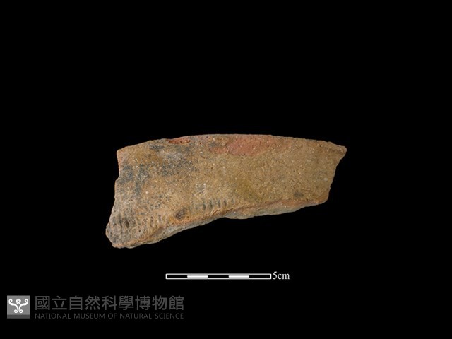 陶罐藏品圖，第1張