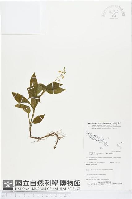登錄號:BS04397藏品圖，第1張