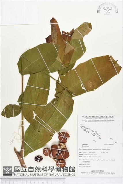 登錄號:BS02867藏品圖，第1張