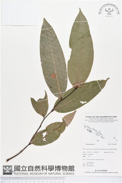 登錄號:BS01867藏品圖，第1張