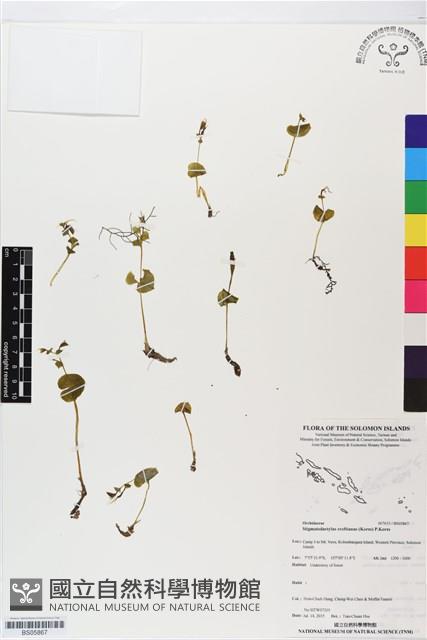 登錄號:BS05867藏品圖，第1張