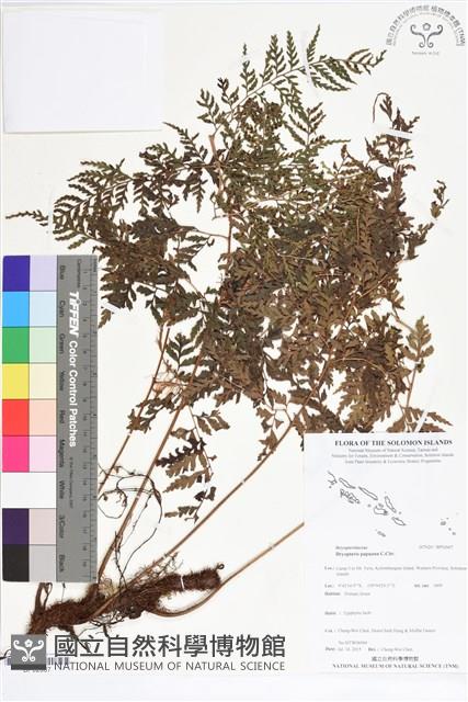 登錄號:BP02667藏品圖，第1張