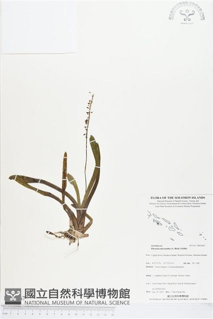 登錄號:BS03667藏品圖，第1張