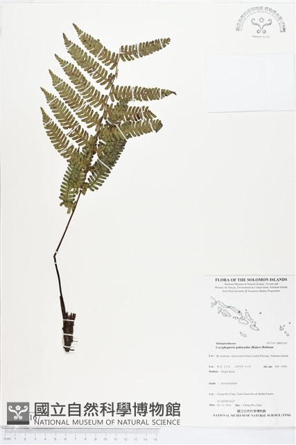 登錄號:BP02167藏品圖，第1張