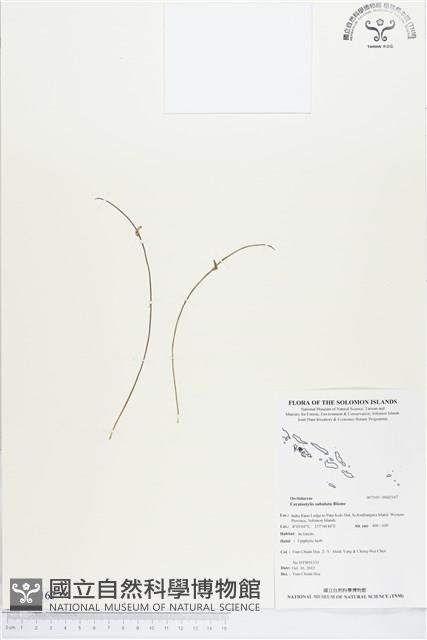 登錄號:BS02167藏品圖，第1張