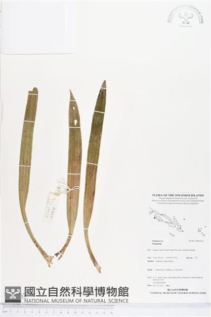 登錄號:BS04167藏品圖，第1張