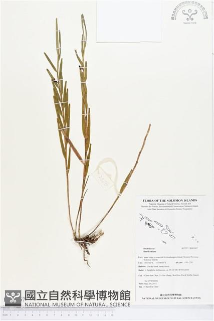 登錄號:BS03167藏品圖，第1張