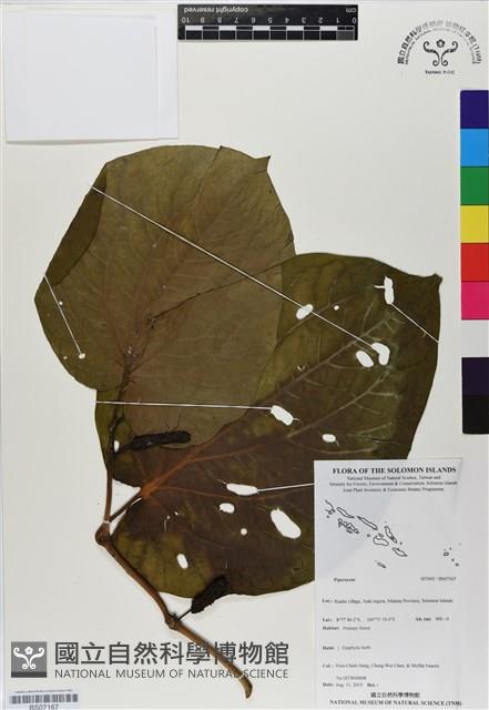 登錄號:BS07167藏品圖，第1張