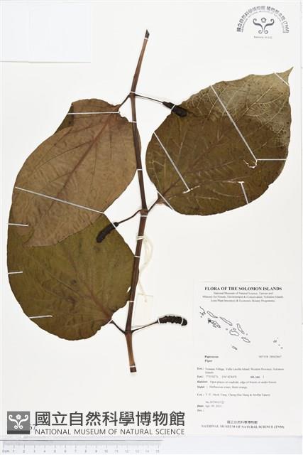 登錄號:BS02467藏品圖，第1張