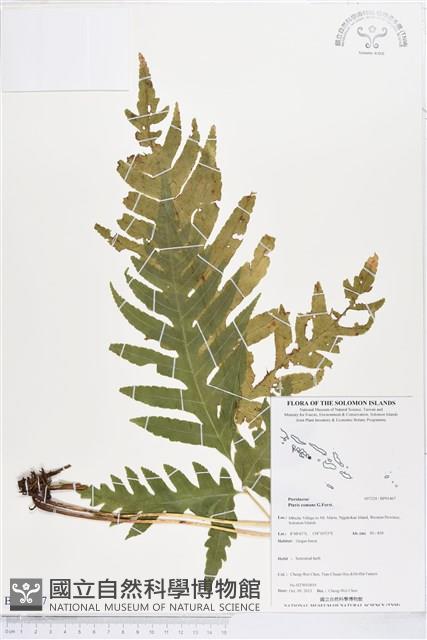 登錄號:BP01467藏品圖，第1張