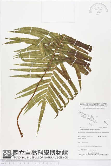 登錄號:BP02267藏品圖，第1張