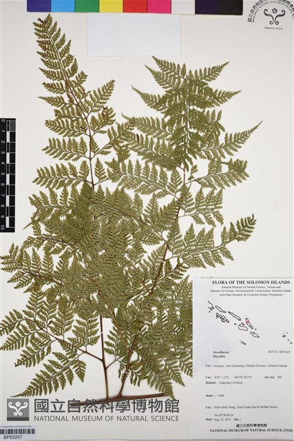 登錄號:BP03267藏品圖，第1張