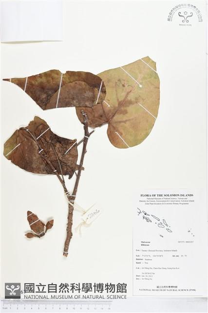 登錄號:BS03267藏品圖，第1張