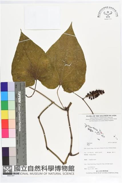 登錄號:BS07267藏品圖，第1張