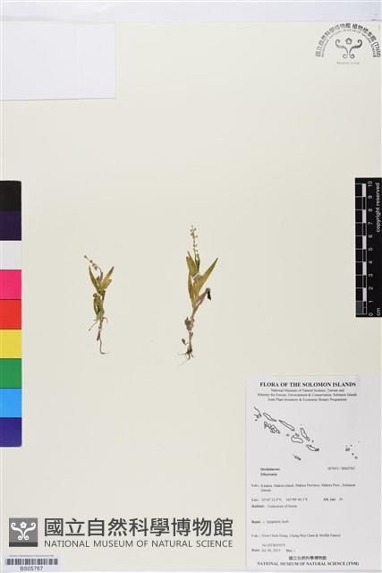 登錄號:BS05767藏品圖，第1張