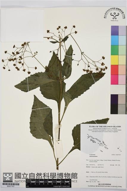 登錄號:BS07767藏品圖，第1張