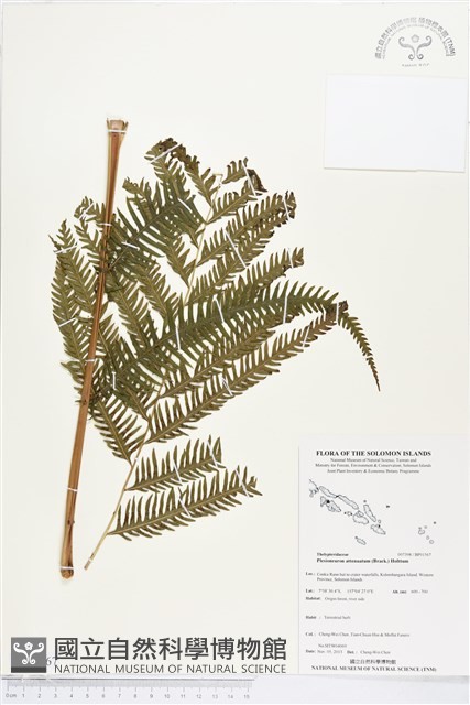 登錄號:BP01567藏品圖，第1張