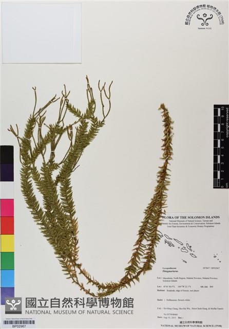 登錄號:BP02967藏品圖，第1張