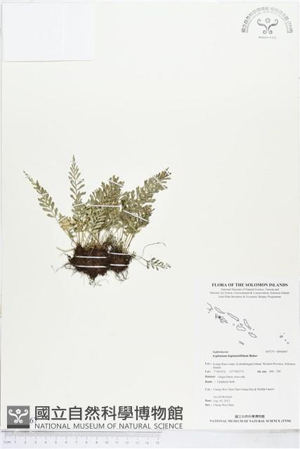 登錄號:BP00967藏品圖，第1張